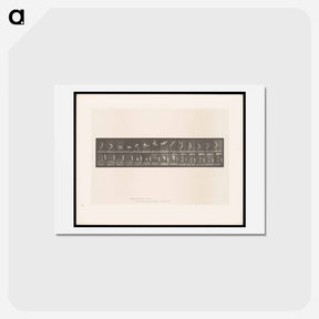 アートポストカード-Leaping Somersault
 - エドワード マイブリッジ Postcard.