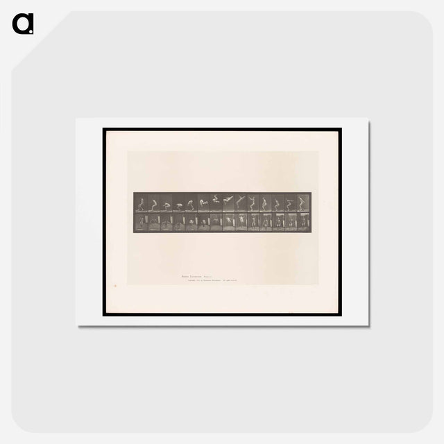 アートポストカード-Leaping Somersault
 - エドワード マイブリッジ Postcard.