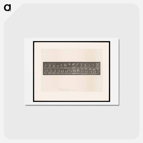 Leaping Somersault
 - エドワード マイブリッジ Postcard.