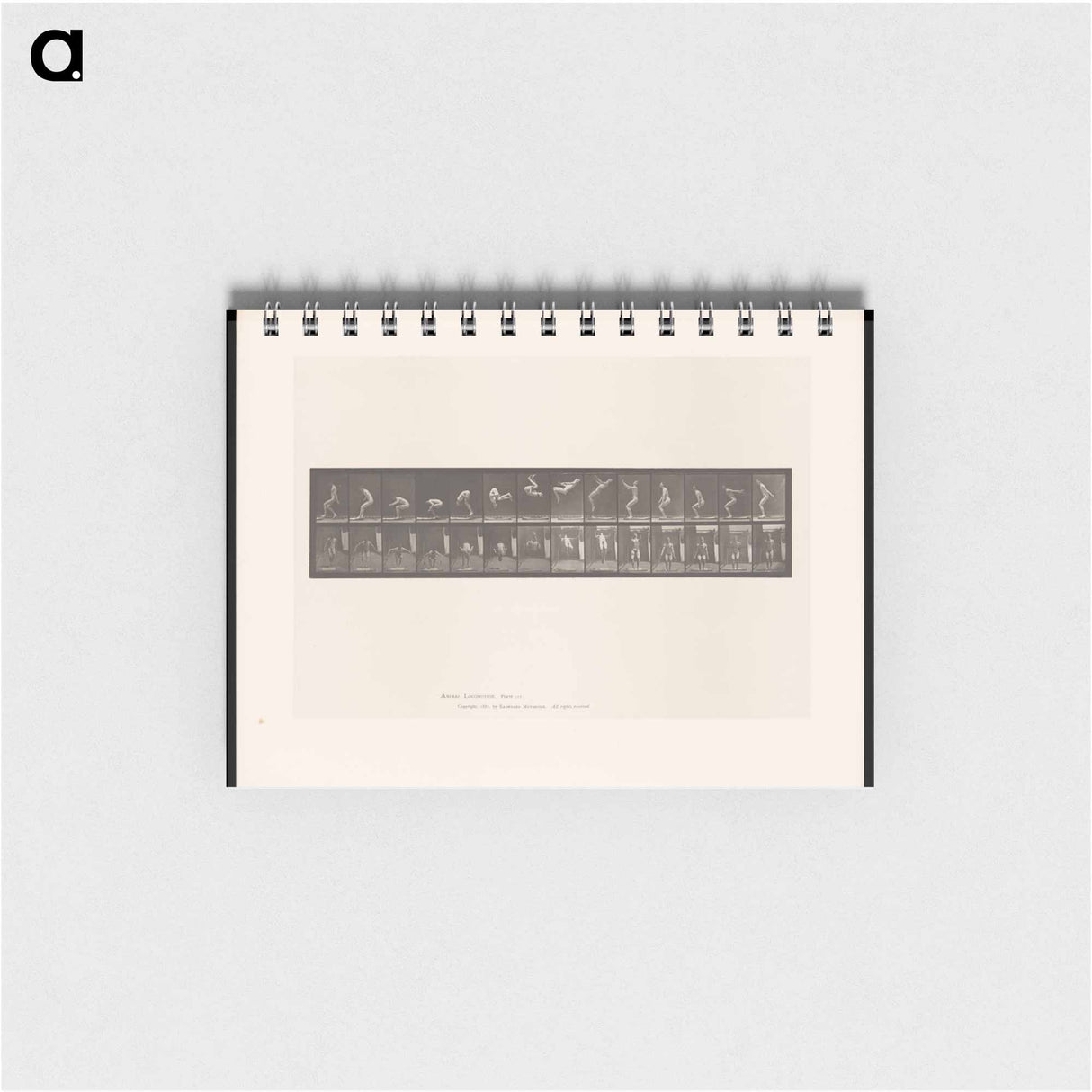 アートメモ帳-Leaping Somersault
 - エドワード マイブリッジ Memo.