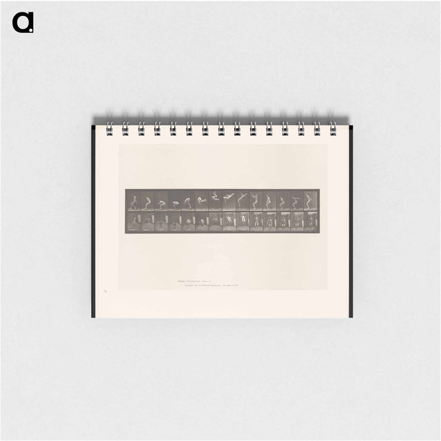 アートメモ帳-Leaping Somersault
 - エドワード マイブリッジ Memo.