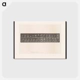 アートポストカード-Leaping Somersault
 - エドワード マイブリッジ Postcard.