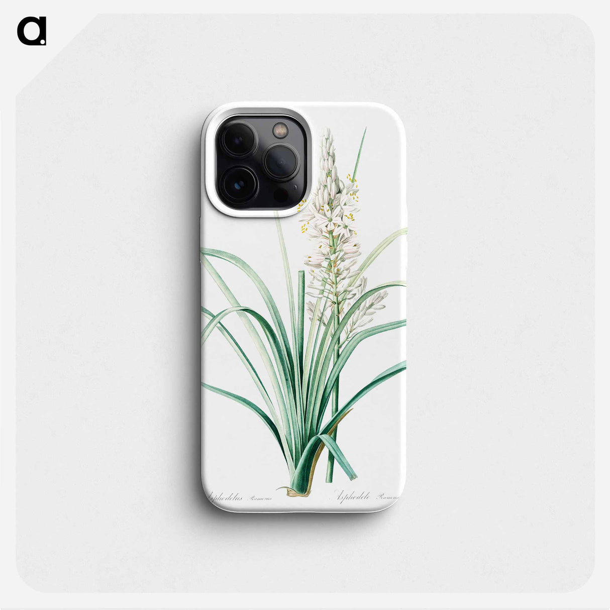 Branched asphodel illustration - Pierre Joseph Redouté Phone Case.