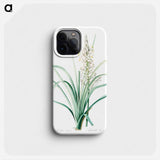 Branched asphodel illustration - Pierre Joseph Redouté Phone Case.