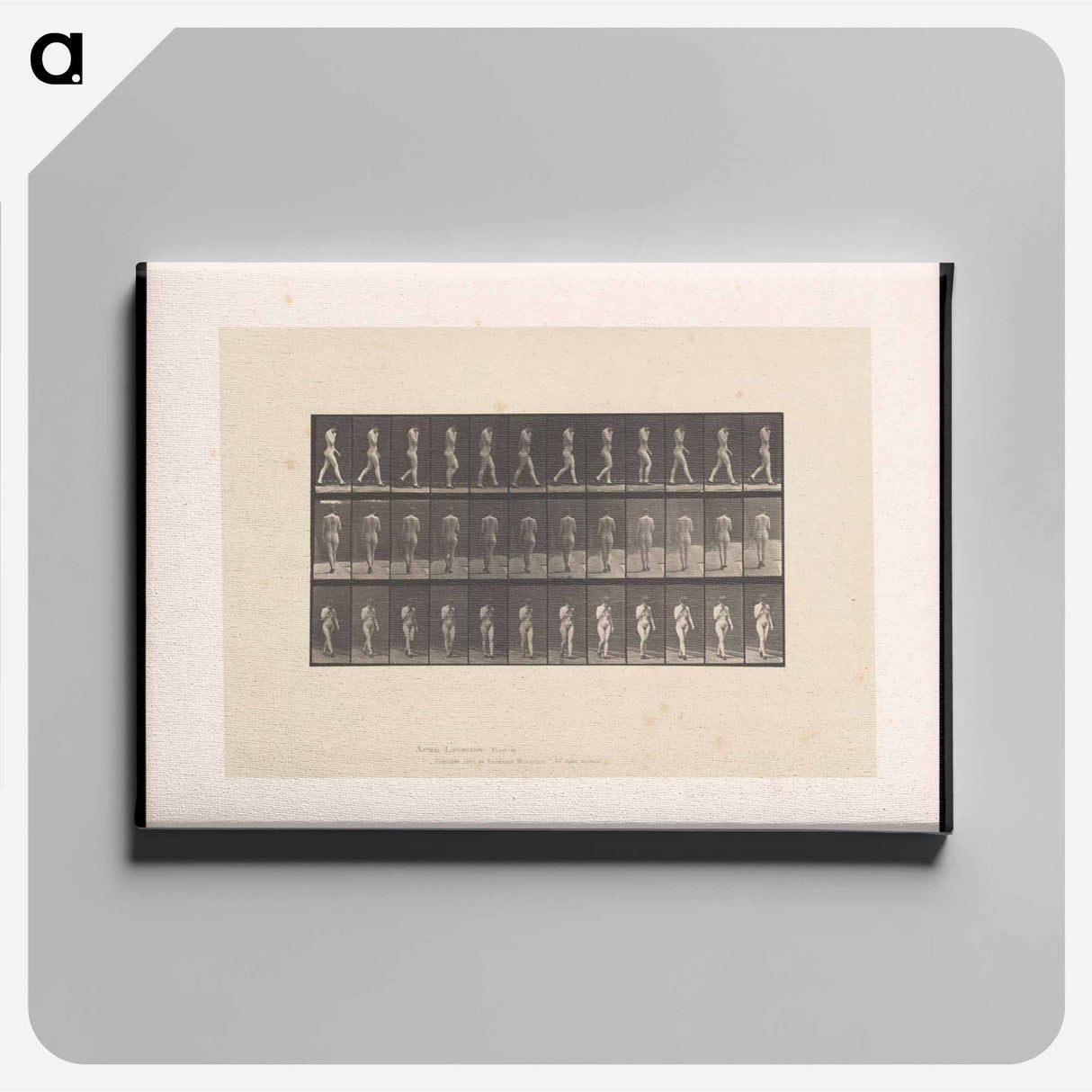 アートパネル-Naked Woman Walking
 - エドワード マイブリッジ Canvas.