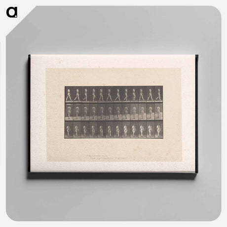 アートパネル-Naked Woman Walking
 - エドワード マイブリッジ Canvas.