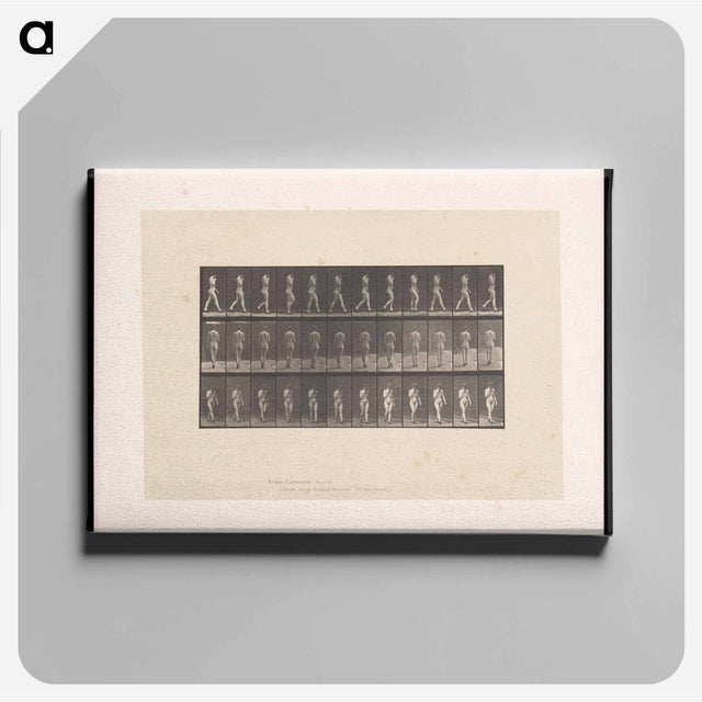 アートパネル-Naked Woman Walking
 - エドワード マイブリッジ Canvas.