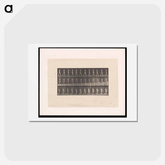 アートポストカード-Naked Woman Walking
 - エドワード マイブリッジ Postcard.