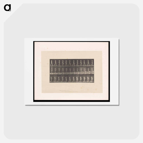 Naked Woman Walking
 - エドワード マイブリッジ Postcard.