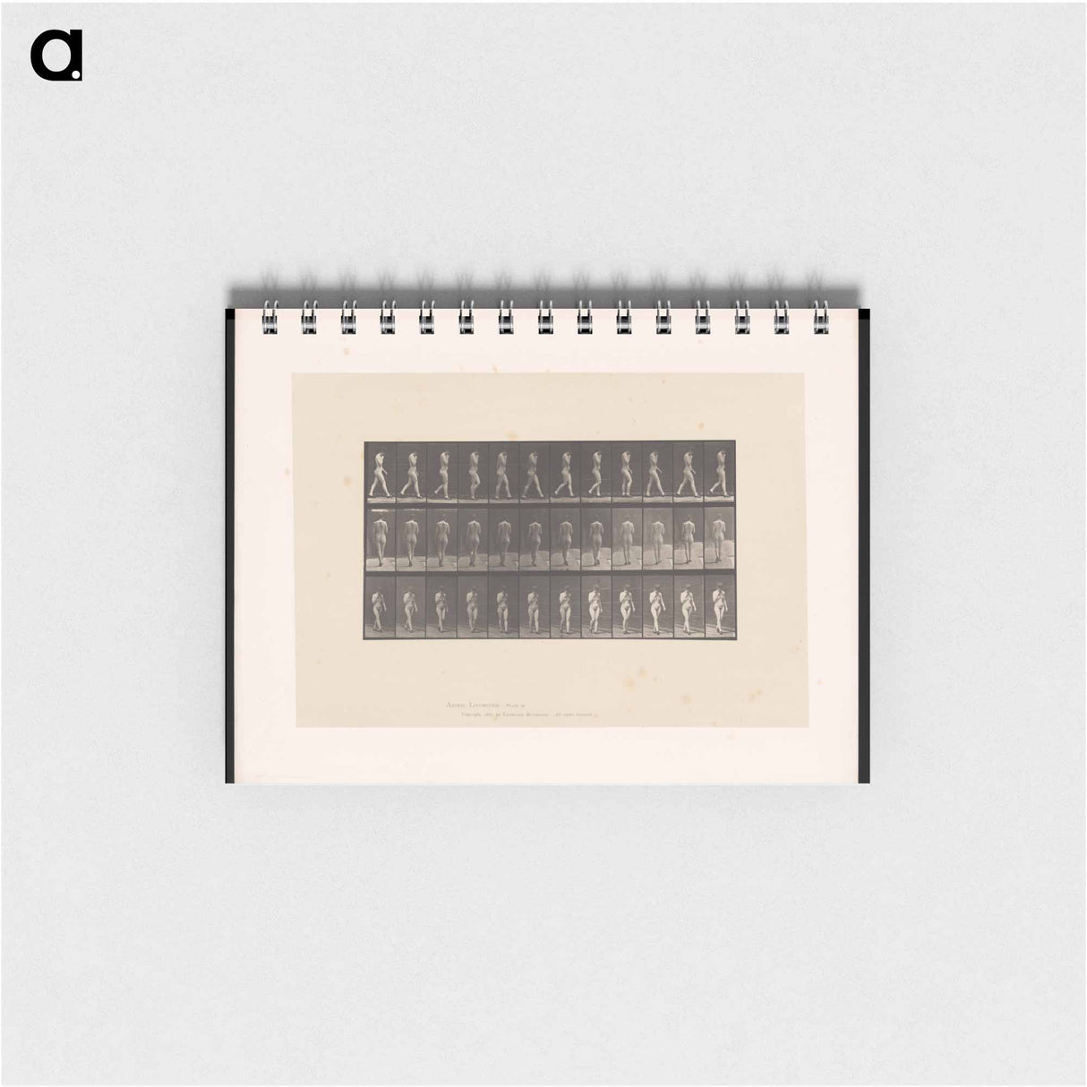 アートメモ帳-Naked Woman Walking
 - エドワード マイブリッジ Memo.