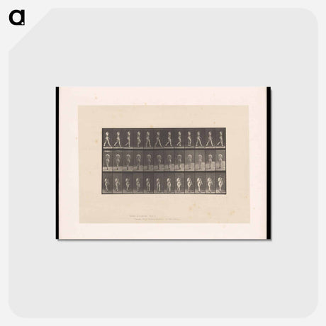 アートポストカード-Naked Woman Walking
 - エドワード マイブリッジ Postcard.