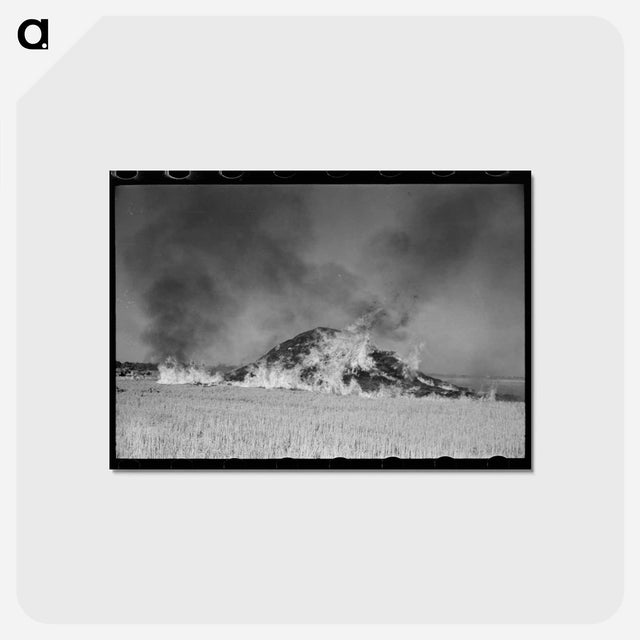 アートポストカード-Burning Straw Stack
 - ラッセル リー Postcard.