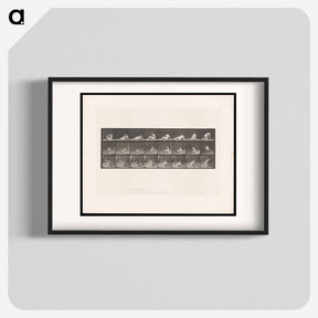 アートポスター-Reclining Nude
 - エドワード マイブリッジ Poster.