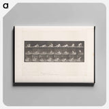 アートパネル-Reclining Nude
 - エドワード マイブリッジ Canvas.