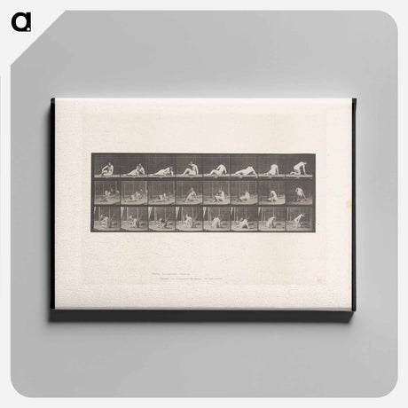 アートパネル-Reclining Nude
 - エドワード マイブリッジ Canvas.