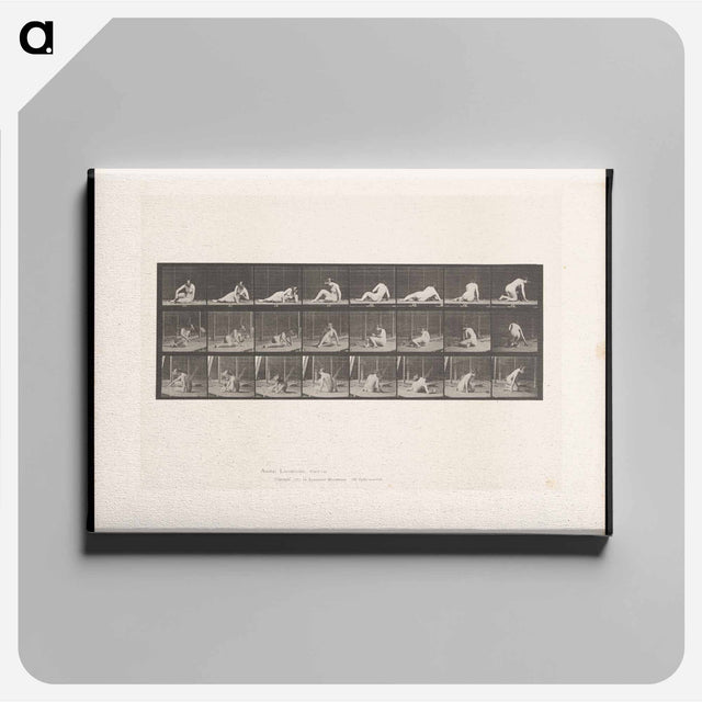 アートパネル-Reclining Nude
 - エドワード マイブリッジ Canvas.