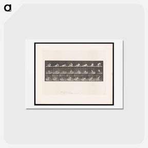 アートポストカード-Reclining Nude
 - エドワード マイブリッジ Postcard.