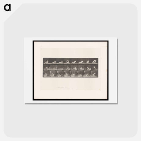 アートポストカード-Reclining Nude
 - エドワード マイブリッジ Postcard.