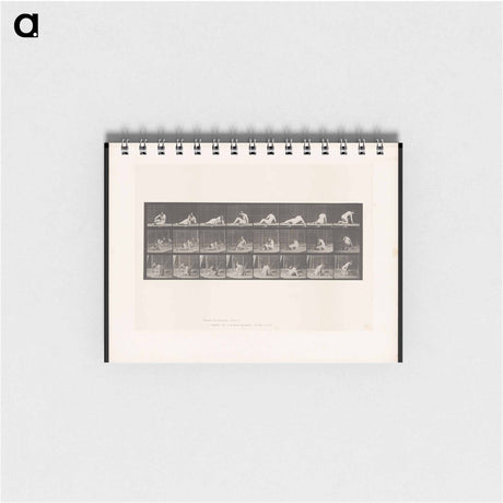 アートメモ帳-Reclining Nude
 - エドワード マイブリッジ Memo.