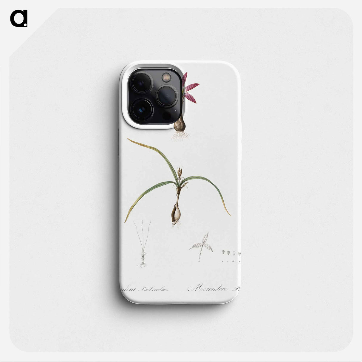 Spring meadow saffron illustration - ピエール ジョゼフ ルドゥーテ Phone Case.