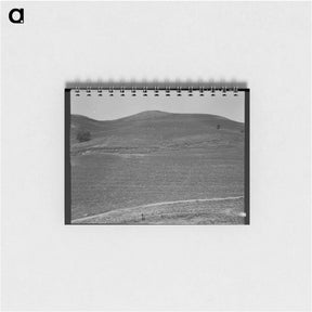 アートメモ帳-The pea fields of the California coast - ドロテア ラング Memo.