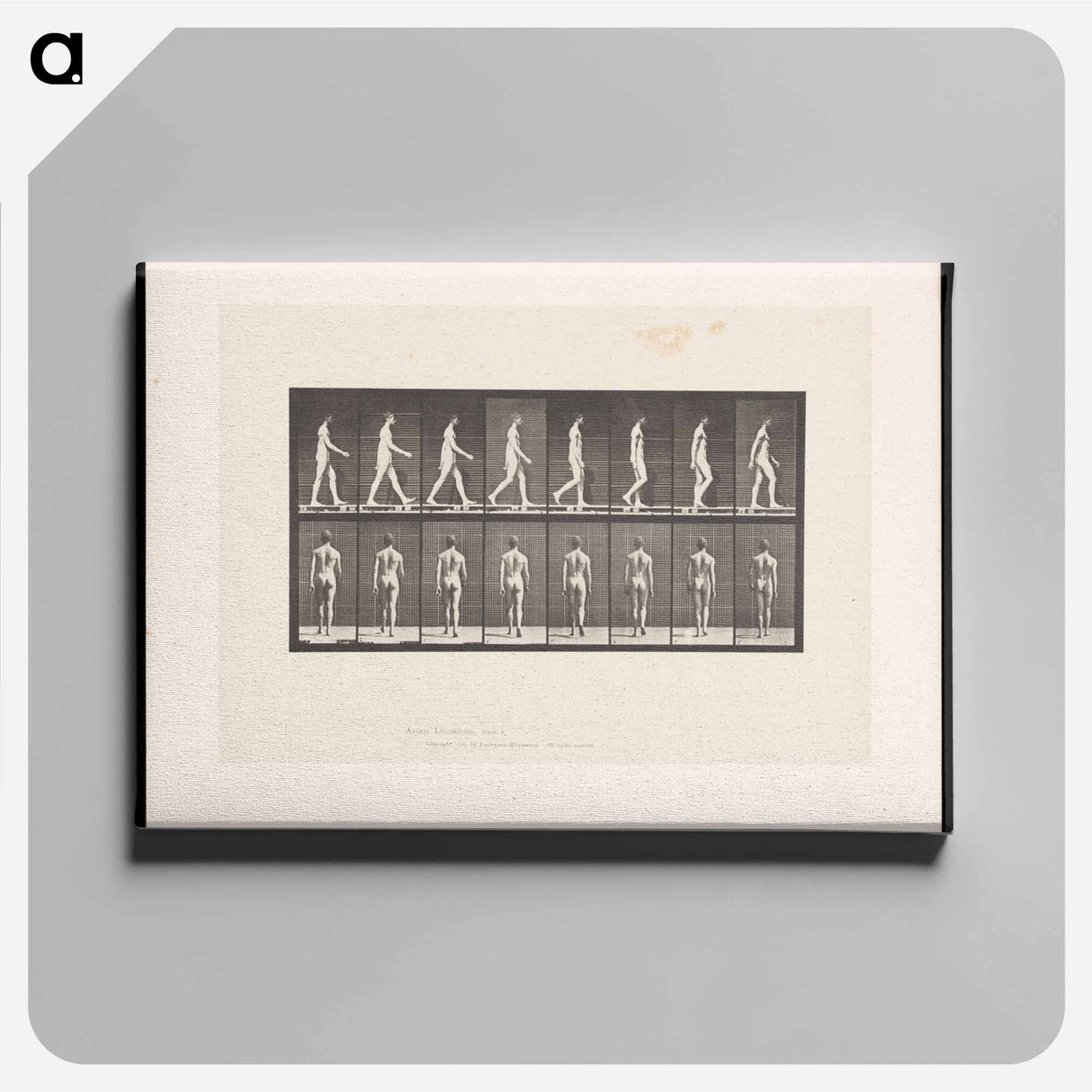 アートパネル-Naked Man Walking
 - エドワード マイブリッジ Canvas.