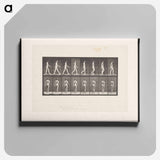 アートパネル-Naked Man Walking
 - エドワード マイブリッジ Canvas.