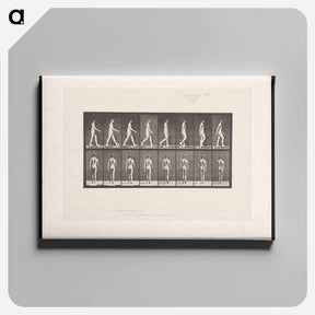 アートパネル-Naked Man Walking
 - エドワード マイブリッジ Canvas.