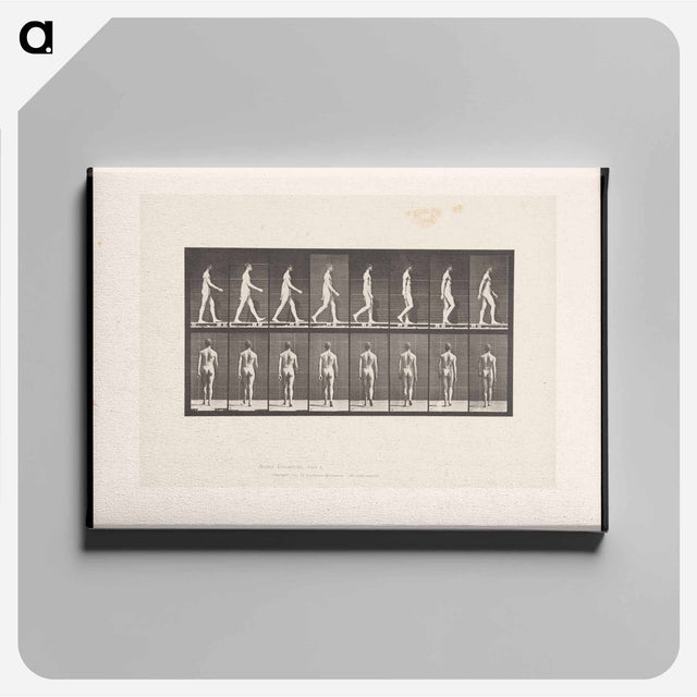 アートパネル-Naked Man Walking
 - エドワード マイブリッジ Canvas.