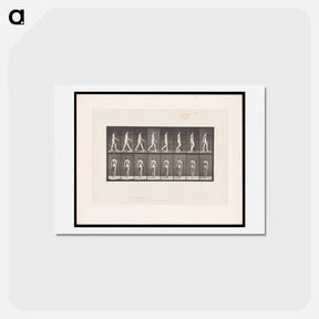 アートポストカード-Naked Man Walking
 - エドワード マイブリッジ Postcard.