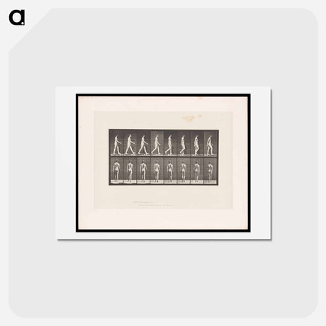 アートポストカード-Naked Man Walking
 - エドワード マイブリッジ Postcard.