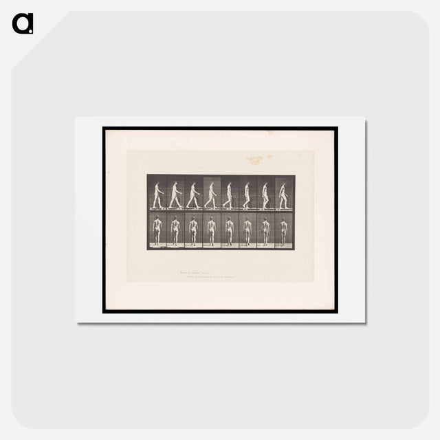 アートポストカード-Naked Man Walking
 - エドワード マイブリッジ Postcard.