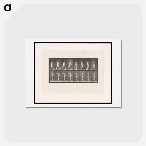 Naked Man Walking
 - エドワード マイブリッジ Postcard.