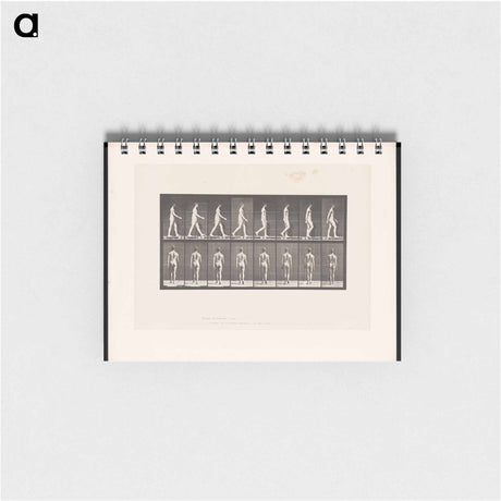 アートメモ帳-Naked Man Walking
 - エドワード マイブリッジ Memo.