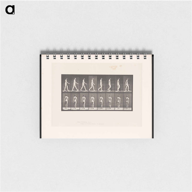 アートメモ帳-Naked Man Walking
 - エドワード マイブリッジ Memo.