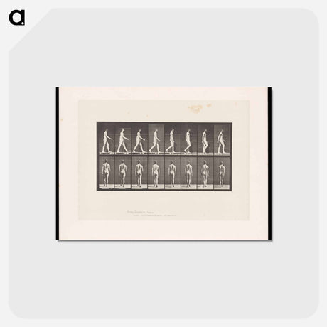 アートポストカード-Naked Man Walking
 - エドワード マイブリッジ Postcard.