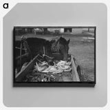 アートパネル-Mules at Hitching Posts, Eufaula, Oklahoma
 - ラッセル リー Canvas.