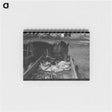 アートメモ帳-Mules at Hitching Posts, Eufaula, Oklahoma
 - ラッセル リー Memo.