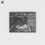 アートメモ帳-Mules at Hitching Posts, Eufaula, Oklahoma
 - ラッセル リー Memo.