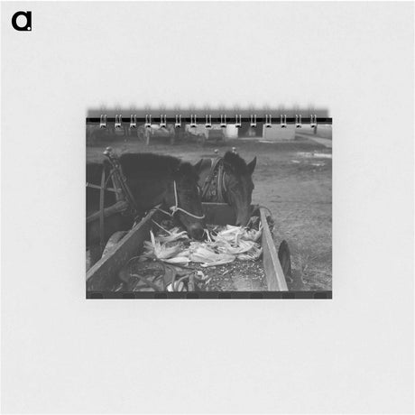 アートメモ帳-Mules at Hitching Posts, Eufaula, Oklahoma
 - ラッセル リー Memo.
