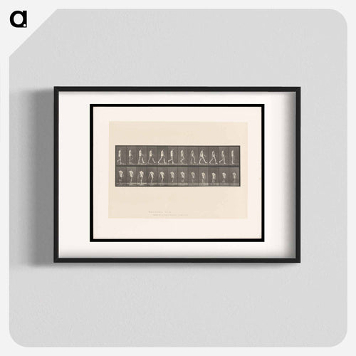 Walking Man
 - エドワード マイブリッジ Poster.