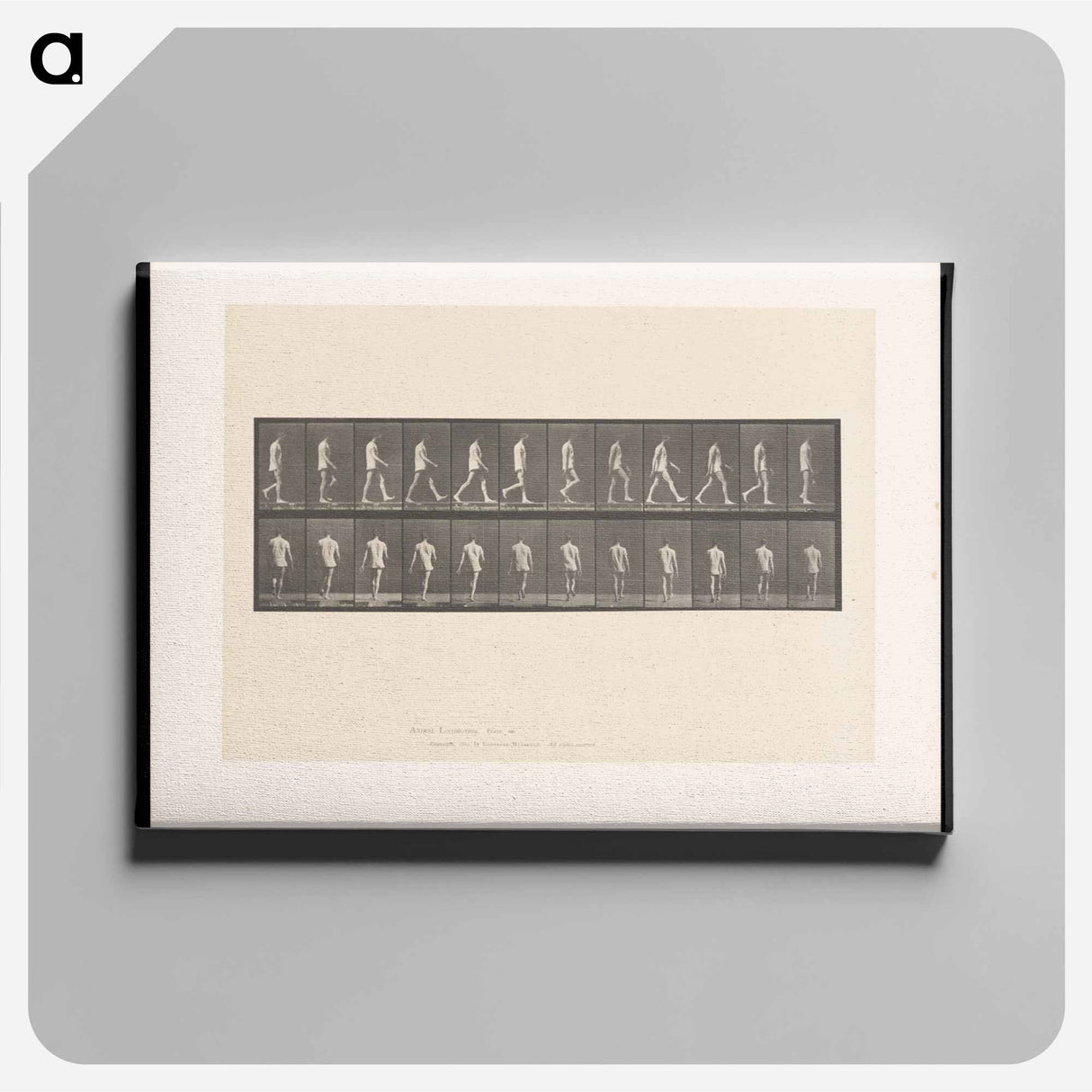 アートパネル-Walking Man
 - エドワード マイブリッジ Canvas.