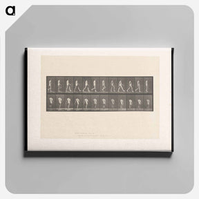 アートパネル-Walking Man
 - エドワード マイブリッジ Canvas.