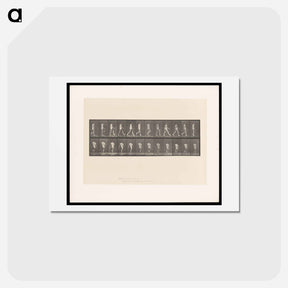 アートポストカード-Walking Man
 - エドワード マイブリッジ Postcard.