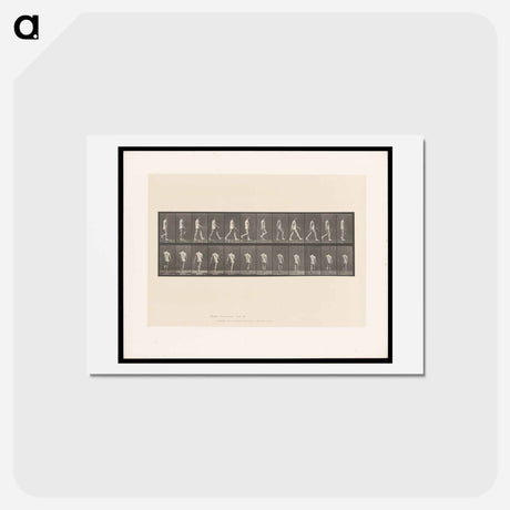アートポストカード-Walking Man
 - エドワード マイブリッジ Postcard.