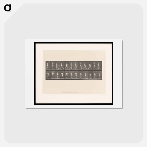 Walking Man
 - エドワード マイブリッジ Postcard.