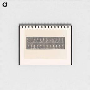 アートメモ帳-Walking Man
 - エドワード マイブリッジ Memo.