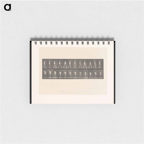アートメモ帳-Walking Man
 - エドワード マイブリッジ Memo.