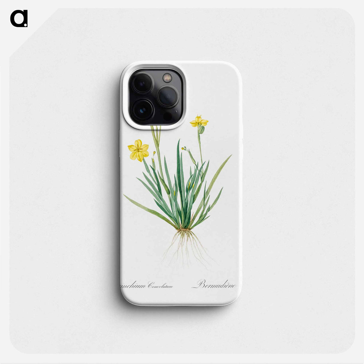 Yellow eyed grass illustration - ピエール ジョゼフ ルドゥーテ Phone Case.