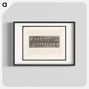 アートポスター-Man on Horse Jumping
 - エドワード マイブリッジ Poster.